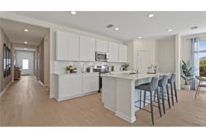 3118 MINDFULLNESS DRIVE, CLERMONT, FL 34714 - MLS#MFRO6414154