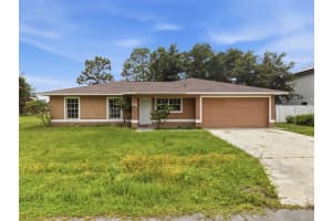 816 ADOUR DRIVE, KISSIMMEE, FL 34759 - MLS#MFRO6414314