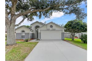 1537 MAXIMILIAN DRIVE, WESLEY CHAPEL, FL 33543 - MLS#MFRO6414409