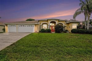 13387 Newcastle Ave, SPRING HILL 13387 Newcastle Ave, SPRING HILL