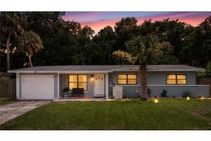 1717 WHITE STREET, TITUSVILLE, FL 32796 - MLS#MFRO6415320