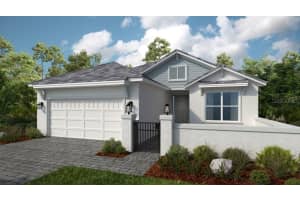 11221 Carding Mill Ln, WINTER GARDEN 11221 Carding Mill Ln, WINTER GARDEN