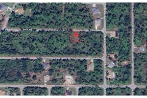 13145 PECK AVENUE, PORT CHARLOTTE, FL 33953 - MLS#MFRO6415656