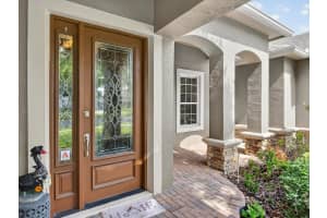 10331 LAKE SHEEN RESERVE BOULEVARD, ORLANDO, FL 32836 - MLS#MFRO6415888