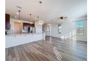 10001 EAGLE ROCK ALLEY, ORLANDO, FL 32832 - MLS#MFRO6416015