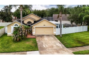 18915 Nest Fern Cir, TAMPA 18915 Nest Fern Cir, TAMPA