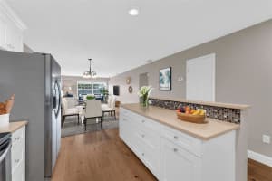 110 TREMAIN STREET, MOUNT DORA, FL 32757 - MLS#MFRO6416381