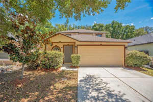 13727 Gentle Woods Ave, RIVERVIEW