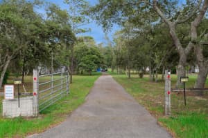 9738 TOWER PINE DRIVE, WINTER GARDEN, FL 34787 - MLS#MFRO6417627