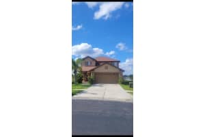 31237 Triborough Dr, WESLEY CHAPEL
