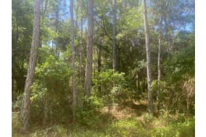 TBD 155TH LANE, FORT MC COY, FL 32134 - MLS#MFROK221814
