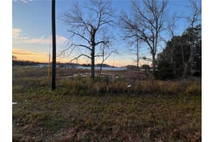238 LOCUST PASS CIRCLE, OCALA, FL 34472 Sold 11/14/24