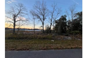 238 LOCUST PASS CIRCLE, OCALA, FL 34472 Sold 11/14/24
