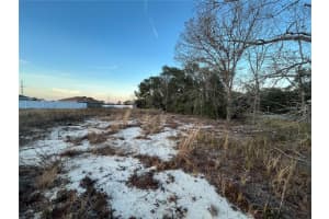238 LOCUST PASS CIRCLE, OCALA, FL 34472 Sold 11/14/24
