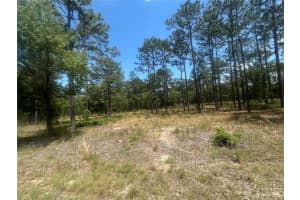 NW TREE TOP, DUNNELLON, FL 34431 Sold 02/11/25