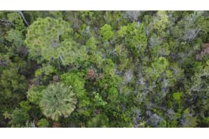 SUNTEE AVE, COCOA, FL 32926 Sold 12/04/24