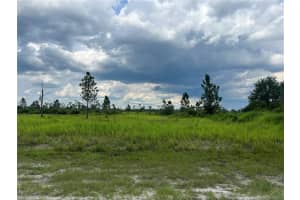 PINNATA DR, INDIAN LAKE ESTATES, FL 33855 - MLS#MFROK224233