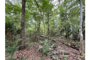 65TH ST, OCALA, FL 34475 - MLS#MFROK224268