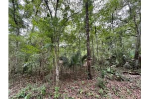 65TH ST, OCALA, FL 34475 - MLS#MFROK224268