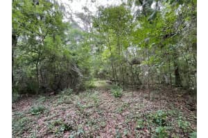 65TH ST, OCALA, FL 34475 - MLS#MFROK224268