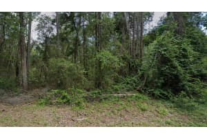 9851 DAROCA WAY, DUNNELLON, FL 34434 Sold 09/27/24