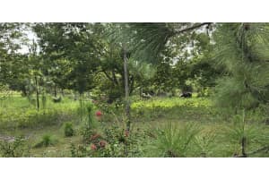 2301 395TH COURT, OKEECHOBEE, FL 34972 - MLS#MFROK224383