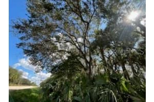 15308 304TH STREET, OKEECHOBEE, FL 34972 Sold 01/13/25