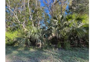233 CAROLE ROAD, LAKE PLACID, FL 33852 Sold 02/21/25