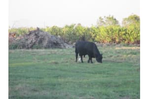 NW 240TH ST, OKEECHOBEE, FL 34972 - MLS#MFROK224725