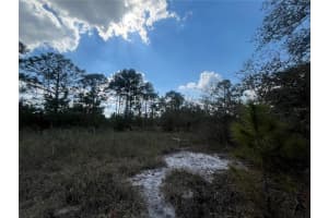 2925 BANDRA ROAD, AVON PARK, FL 33825 Sold 06/27/25