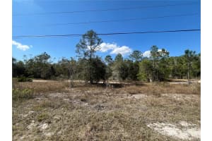 494 BURRSTONE DRIVE, LEHIGH ACRES, FL 33974 - MLS#MFROK224814