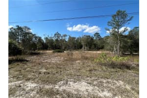 494 BURRSTONE DRIVE, LEHIGH ACRES, FL 33974 - MLS#MFROK224814