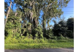 262 TOMS ROAD, DEBARY, FL 32713 - MLS#MFROK224887