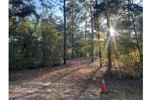 SW 204TH, DUNNELLON, FL 34431 Sold 04/11/25