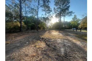 SW 204TH, DUNNELLON, FL 34431 Sold 04/11/25