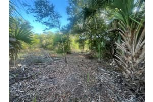 17774 254TH STREET, OKEECHOBEE, FL 34972 - MLS#MFROK225082