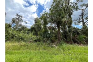 15501 WHITEHALL AVENUE, PORT CHARLOTTE, FL 33953 - MLS#MFROK225145