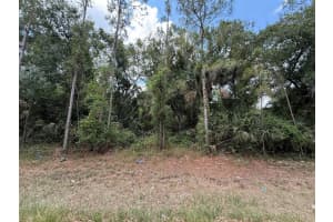 15501 WHITEHALL AVENUE, PORT CHARLOTTE, FL 33953 - MLS#MFROK225145