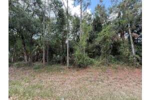 15501 WHITEHALL AVENUE, PORT CHARLOTTE, FL 33953 - MLS#MFROK225145