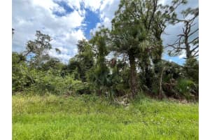 15501 WHITEHALL AVENUE, PORT CHARLOTTE, FL 33953 - MLS#MFROK225145