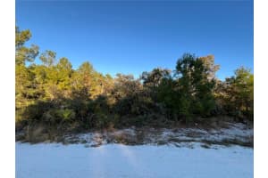 13320 KENDALL STREET, SEBRING, FL 33875 Sold 06/24/25