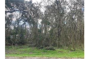 NW 65TH PL, OCALA, FL 34482 - MLS#MFROK225161