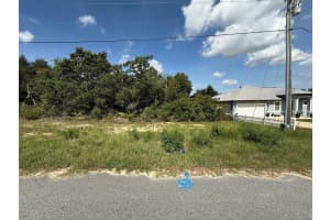 30TH TERRACE RD, OCALA, FL 34473 - MLS#MFROK225162