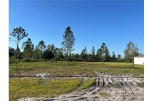 1019 CALENDULA DRIVE, INDIAN LAKE ESTATES, FL 33855 - MLS#MFROK225166