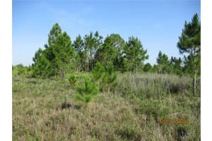 15312 274TH STREET, OKEECHOBEE, FL 34972 - MLS#MFROK225200