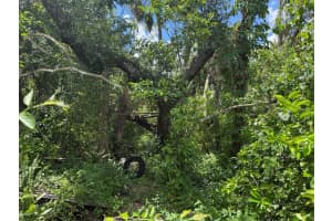 16459 BAUERS AVENUE, PORT CHARLOTTE, FL 33954 - MLS#MFROK225304