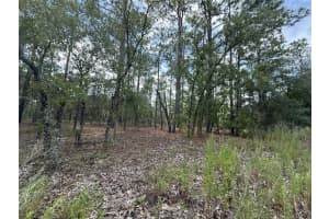 NW TREE TOP RD, DUNNELLON, FL 34431 - MLS#MFROK225311