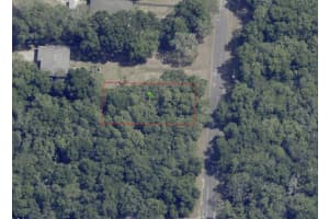 6634 PAGODA TREE TERRACE, HERNANDO, FL 34442 - MLS#MFROK225315