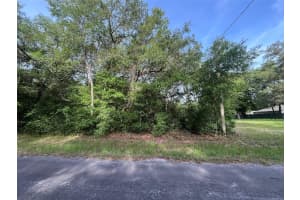 6634 PAGODA TREE TERRACE, HERNANDO, FL 34442 - MLS#MFROK225315