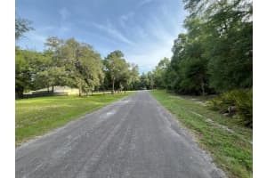 6634 PAGODA TREE TERRACE, HERNANDO, FL 34442 - MLS#MFROK225315